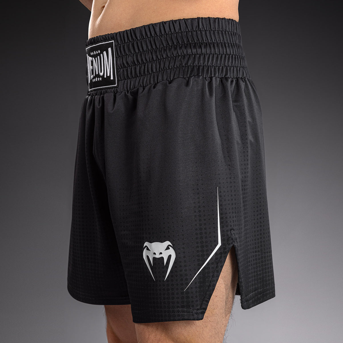 Short de Boxe Venum Stealth – Noir/Blanc - product-type_Shorts de boxe