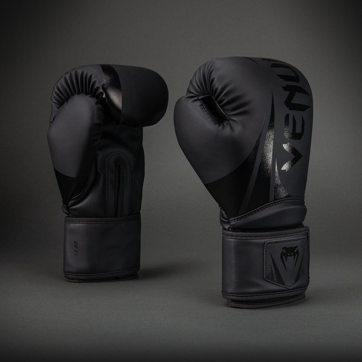 Gants de Boxe Venum Challenger 2.5 – Noir/Noir - product-type_Gants de boxe