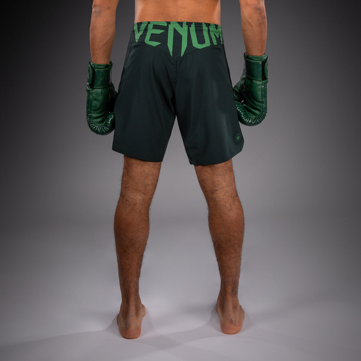 Short de combat Venum Light 5.0 - Vert forêt/Vert clair - product-type_Shorts de MMA