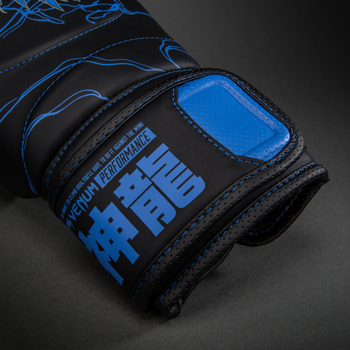 Gants de boxe Venum Thunder Dragon – Noir/Bleu Royal - product-type_Gants de boxe