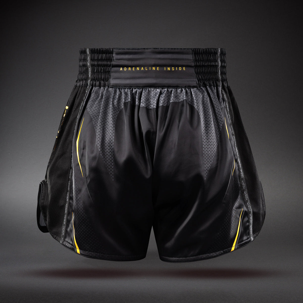Short de Muay Thaï Venum G-Core - Noir/Or - product-type_Shorts de Muay Thai