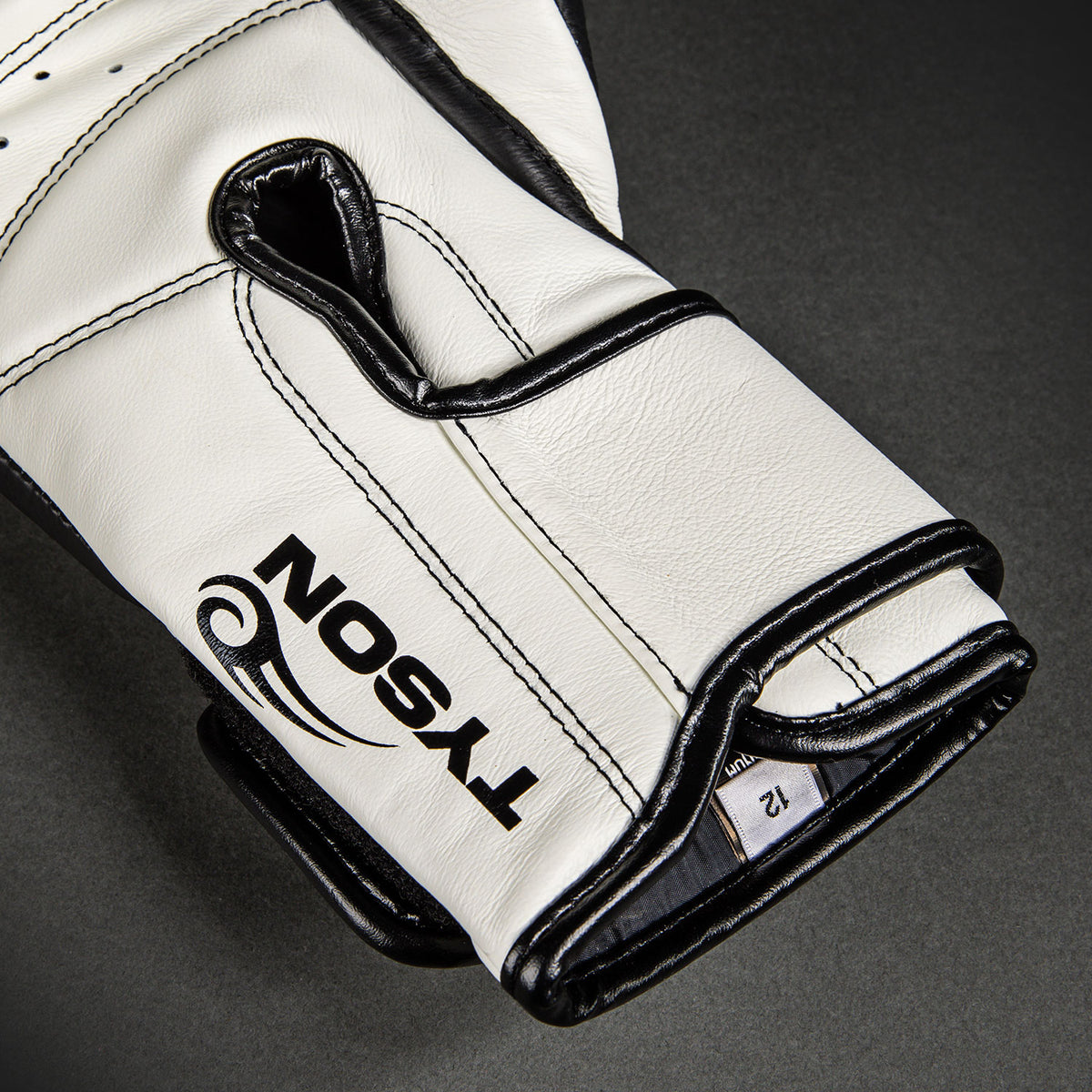 Gants de Boxe Pro Venum Giant 2.0 Mike Tyson - Noir Profond/Blanc Optique - product-type_Gants de boxe