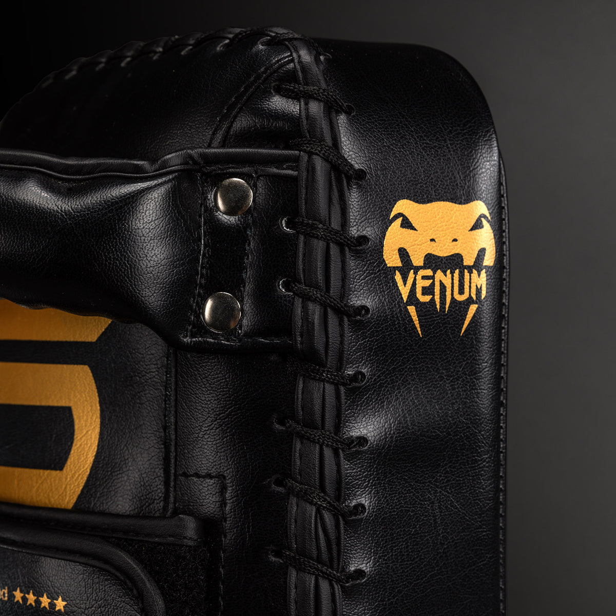 Paos Venum Giant (Paire) - Noir/Or - product-type_Patte d'ours