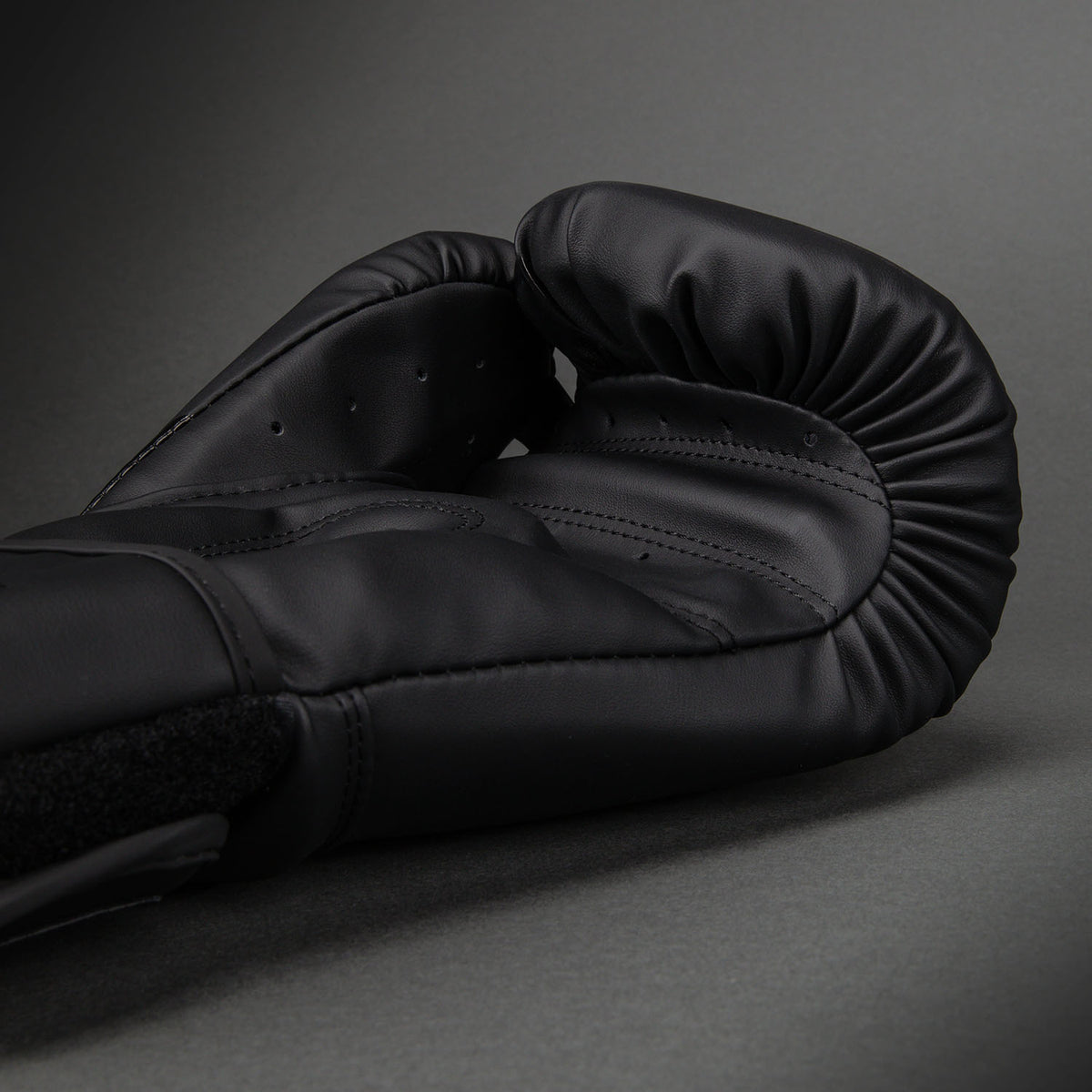 Gants de Boxe Venum Challenger 2.5 – Noir/Noir - product-type_Gants de boxe