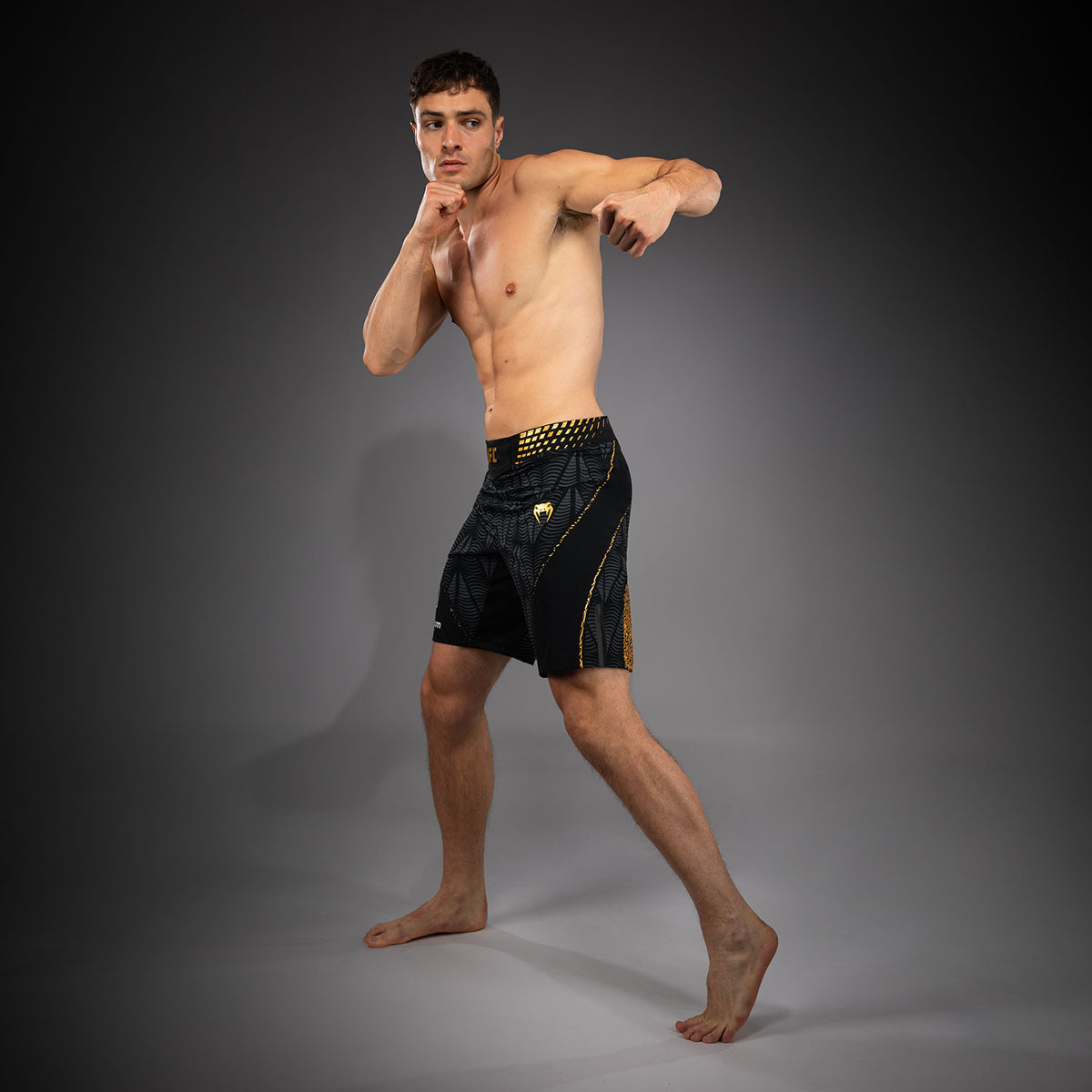 Short de combat coupe longue Homme Personnalisé UFC Zenith by Venum Authentic Fight Night - Champion - product-type_Shorts de MMA