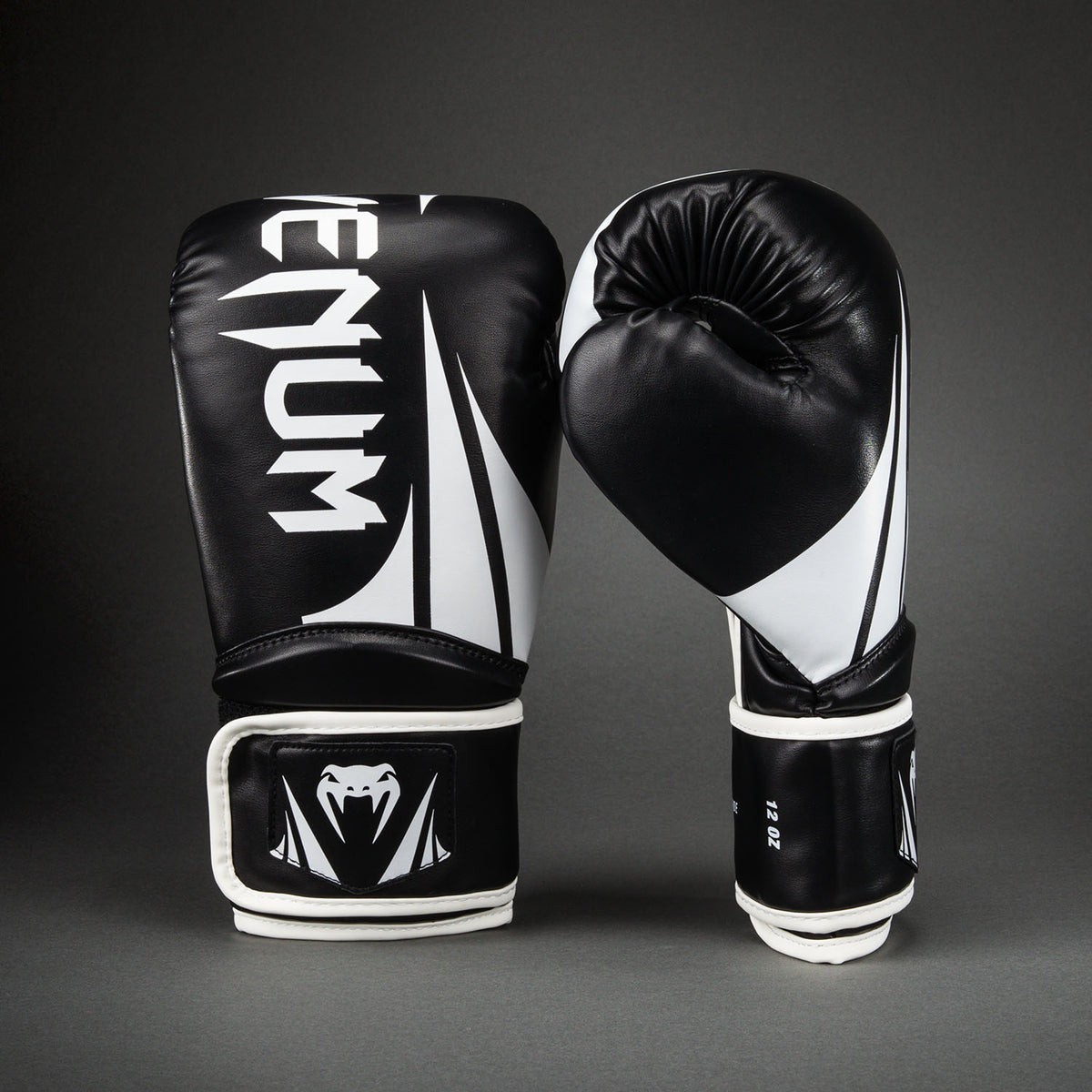 Gants de Boxe Venum Challenger 2.5 – Noir/Blanc - product-type_Gants de boxe