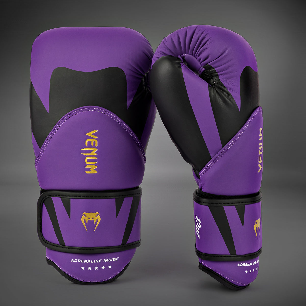 Gants de Boxe Venum Challenger 4.0 - Violet Foncé - product-type_Gants de boxe