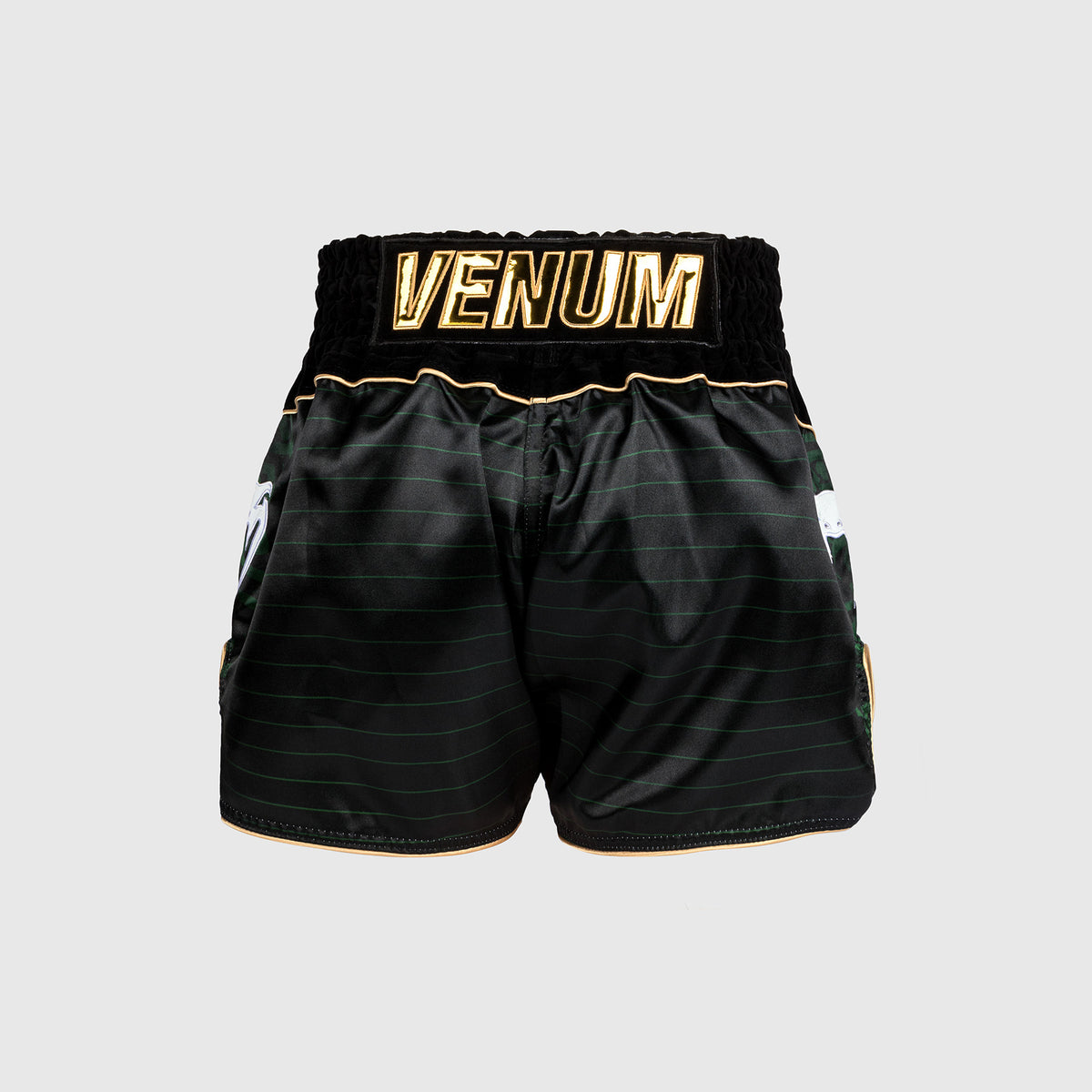 Short de Muay Thai Venum Attack - Noir/Vert - product-type_Shorts de Muay Thai