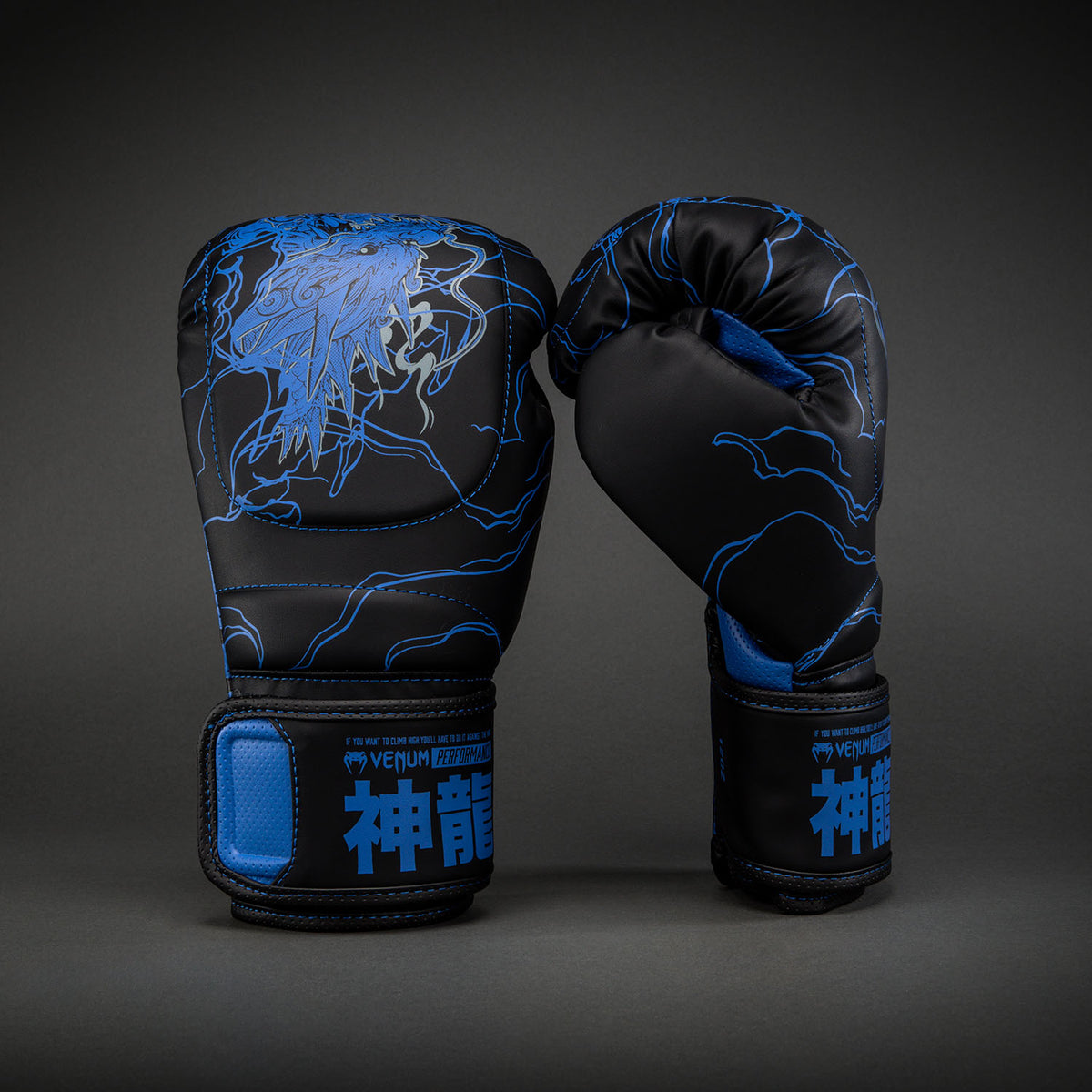 Gants de boxe Venum Thunder Dragon – Noir/Bleu Royal - product-type_Gants de boxe