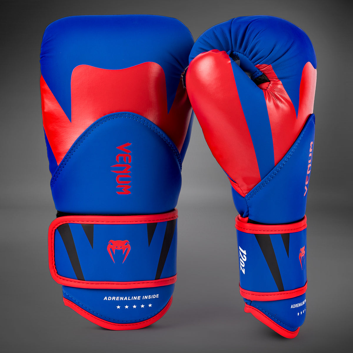 Gants de Boxe Venum Challenger 4.0 - Bleu Royal - product-type_Gants de boxe