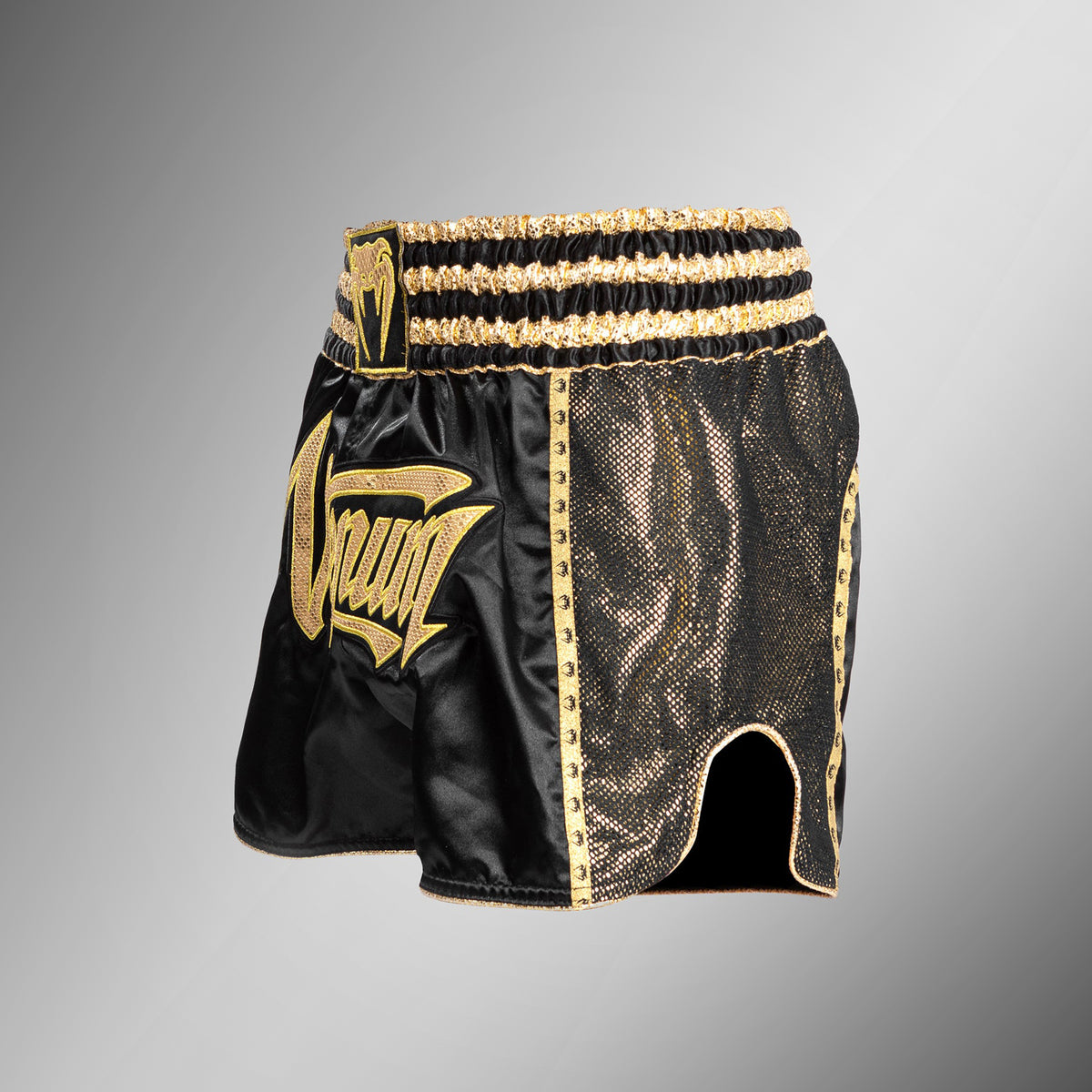 Short de Muay Thai Absolute 2.0 Venum - Noir/Or - product-type_Shorts de Muay Thai