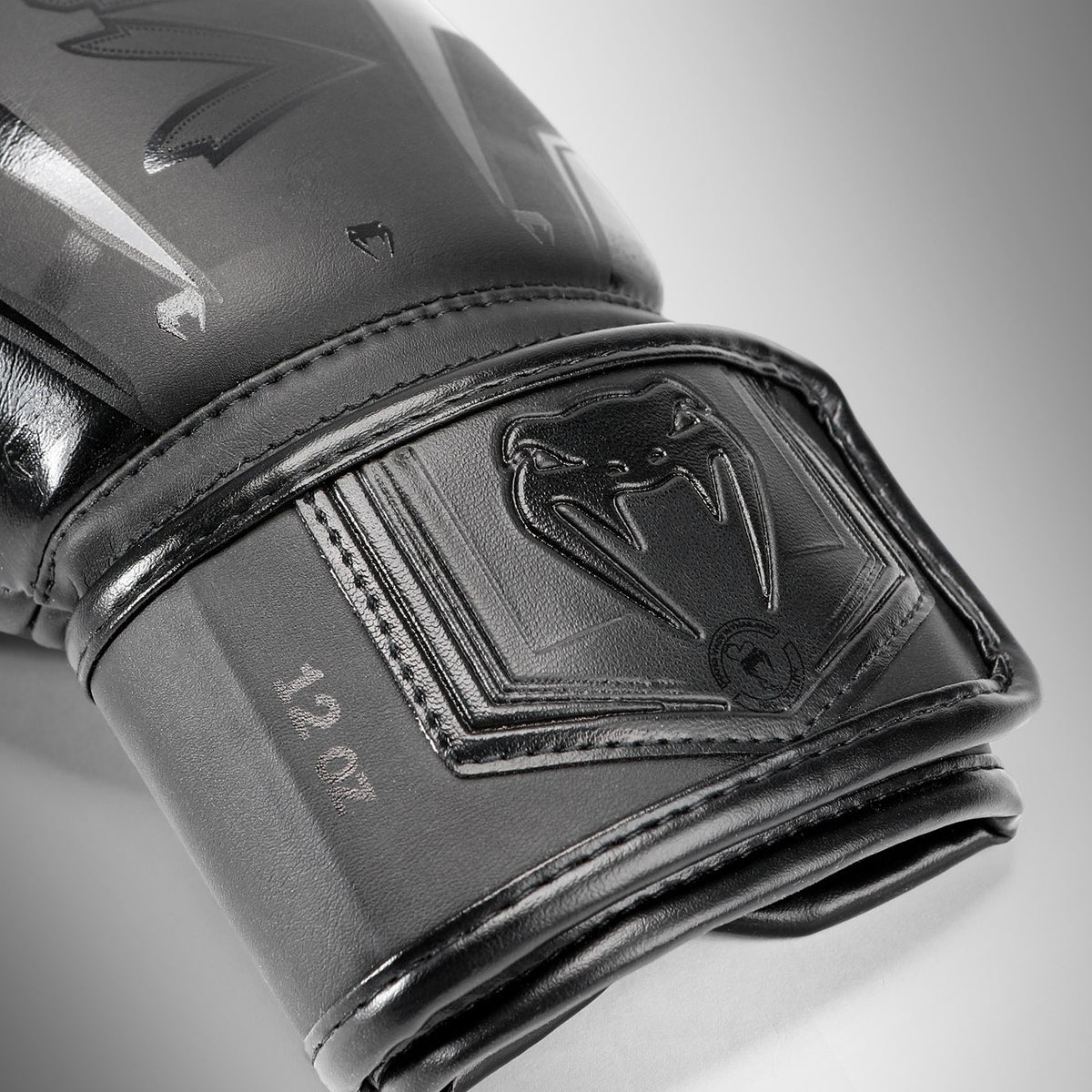 Gants de Boxe Venum Elite Evo - Noir/Noir - product-type_Gants de boxe