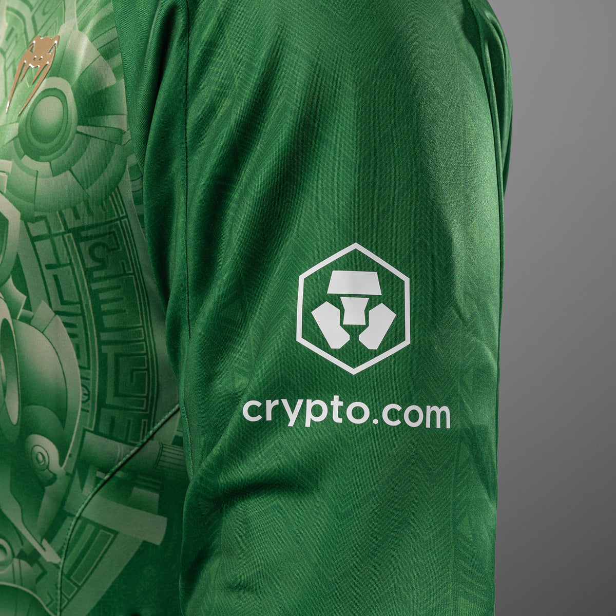Sweat à Capuche UFC Noche 2.0 by Venum Authentic Fight Night - Vert - product-type_Vestes
