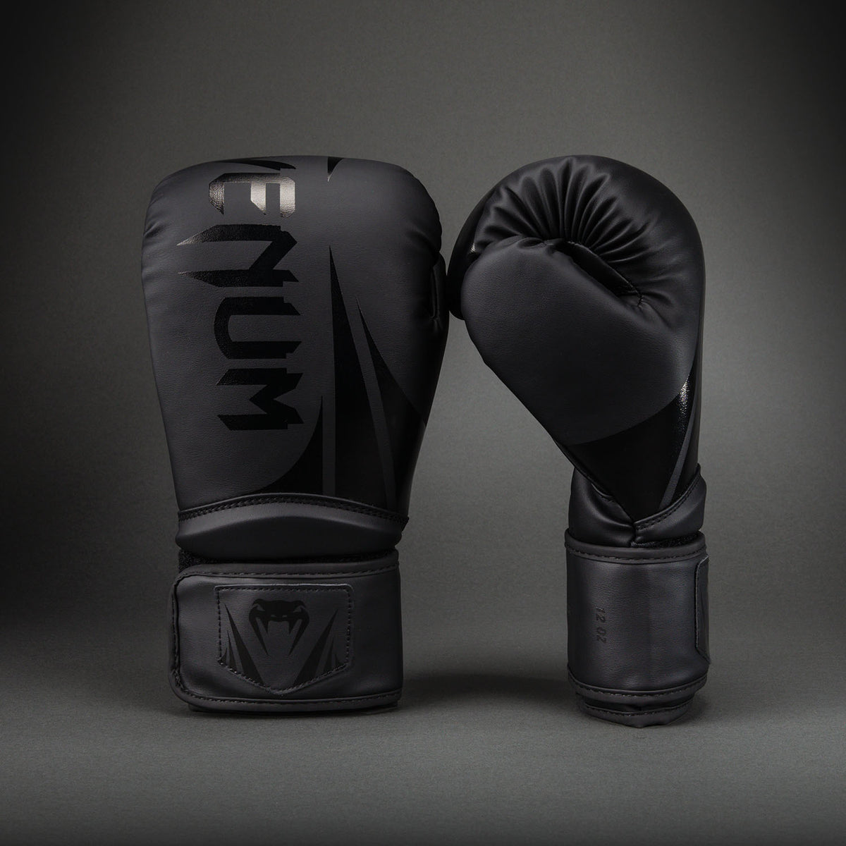 Gants de Boxe Venum Challenger 2.5 – Noir/Noir - product-type_Gants de boxe