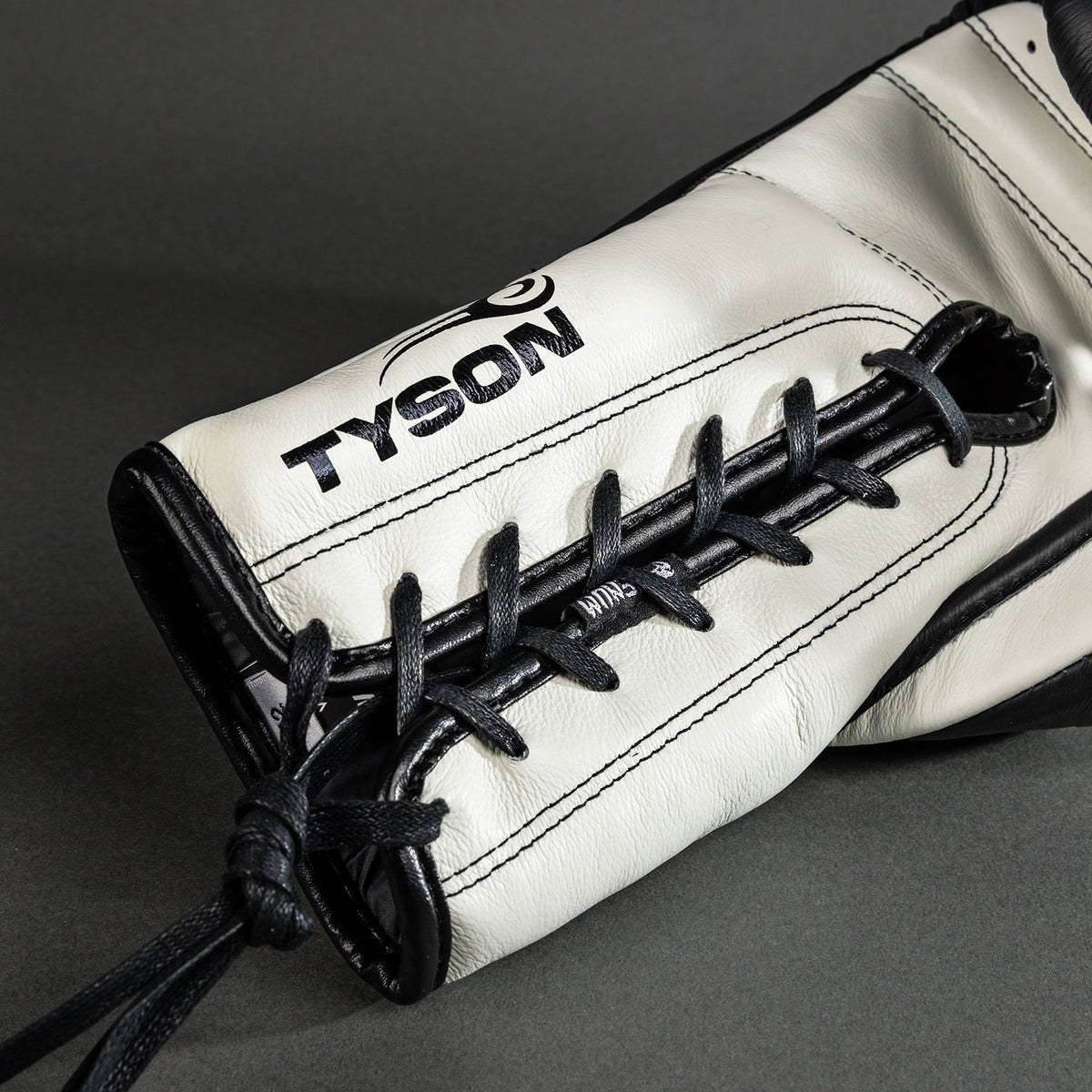 Gants de Boxe Pro Venum Giant 2.0 Mike Tyson avec Lacets - Noir Profond/Blanc Optique - product-type_Gants de boxe