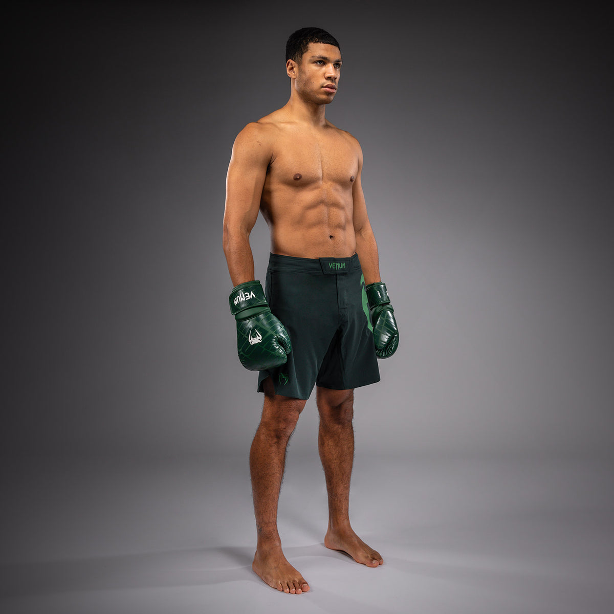 Short de combat Venum Light 5.0 - Vert forêt/Vert clair - product-type_Shorts de MMA