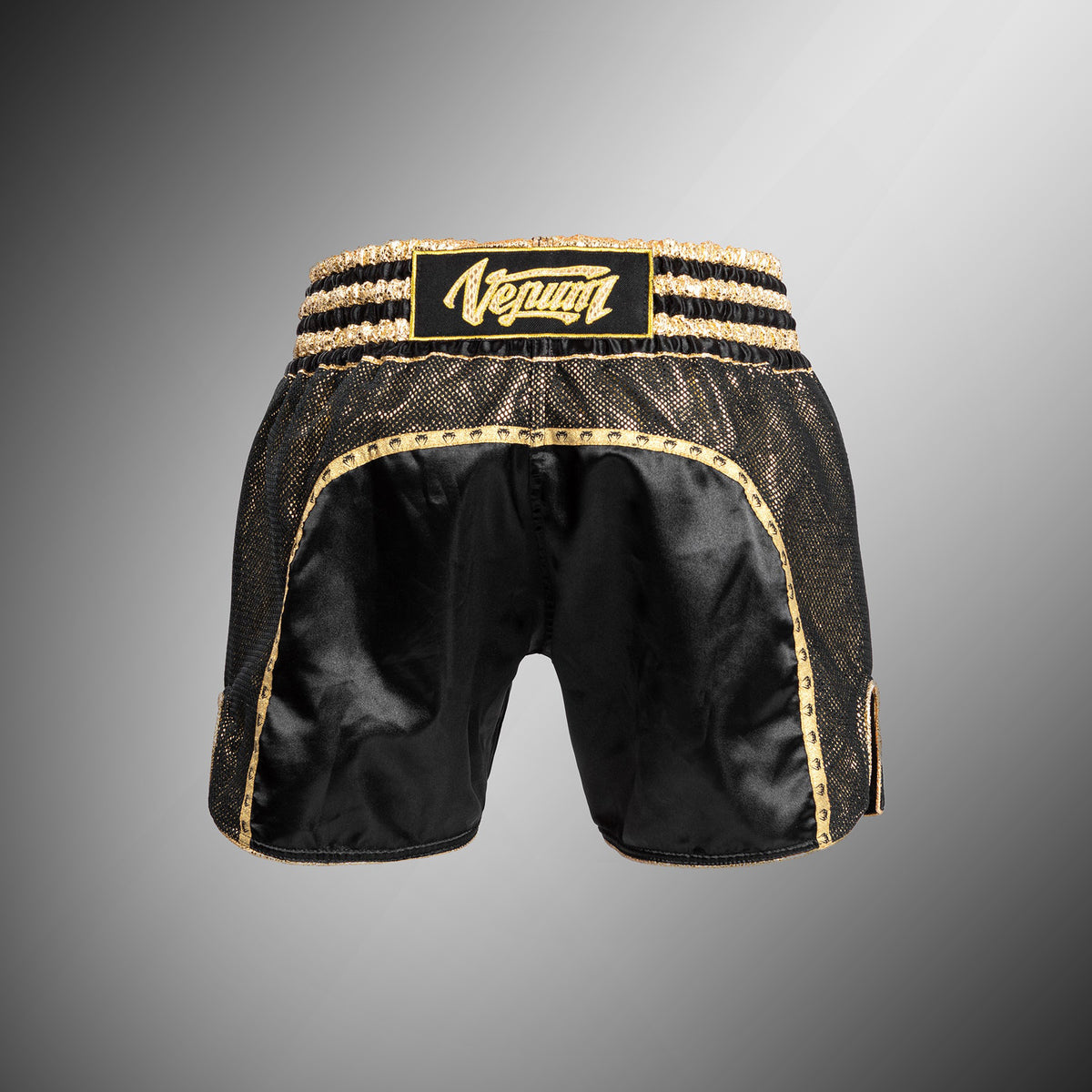 Short de Muay Thai Absolute 2.0 Venum - Noir/Or - product-type_Shorts de Muay Thai