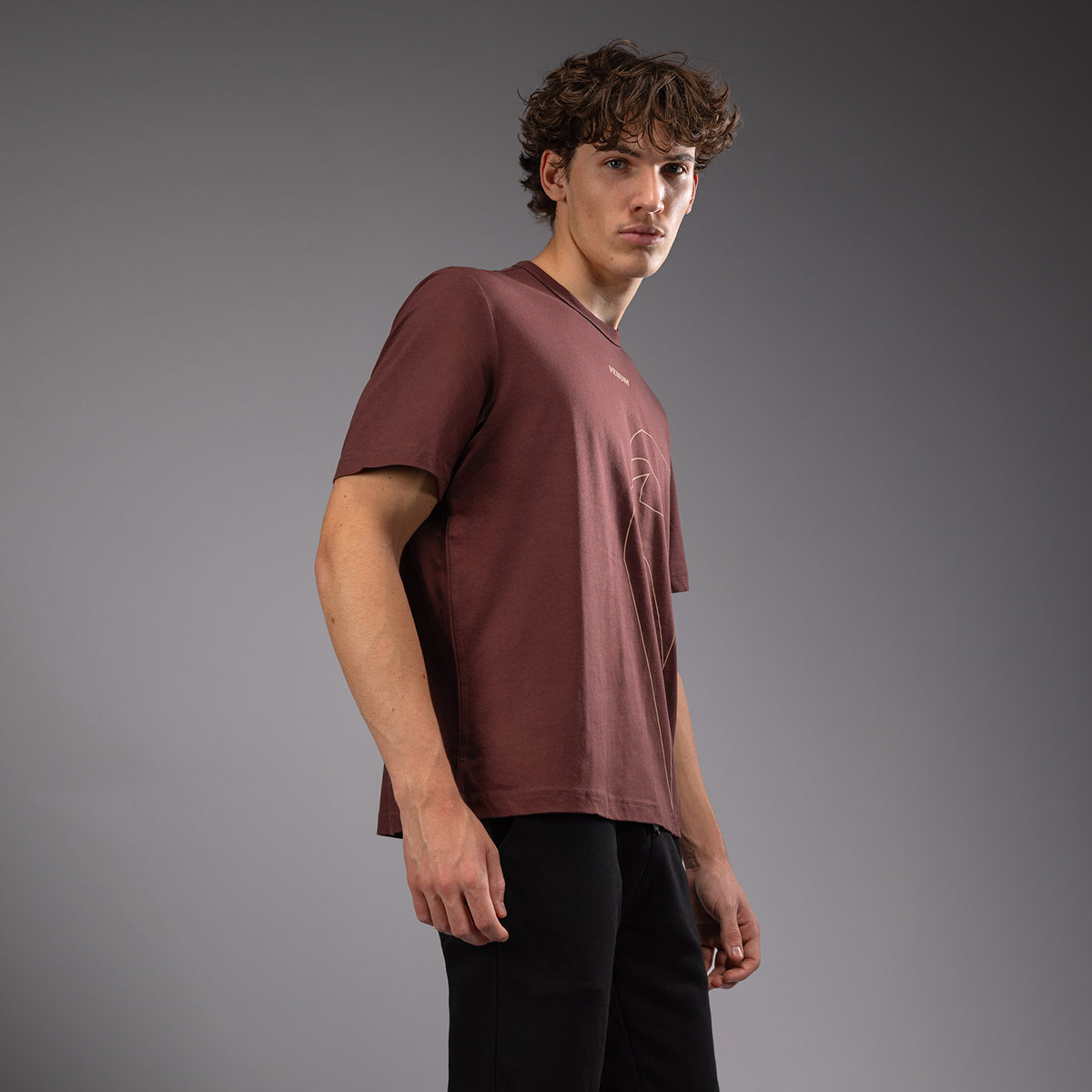 T-shirt Venum Giant Connect - Marron chocolat - product-type_T-Shirts