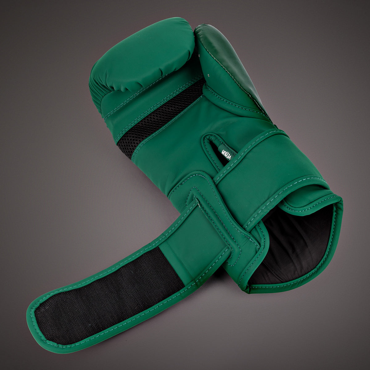 Gants de Boxe Venum Challenger 4.0 - Vert - product-type_Gants de boxe