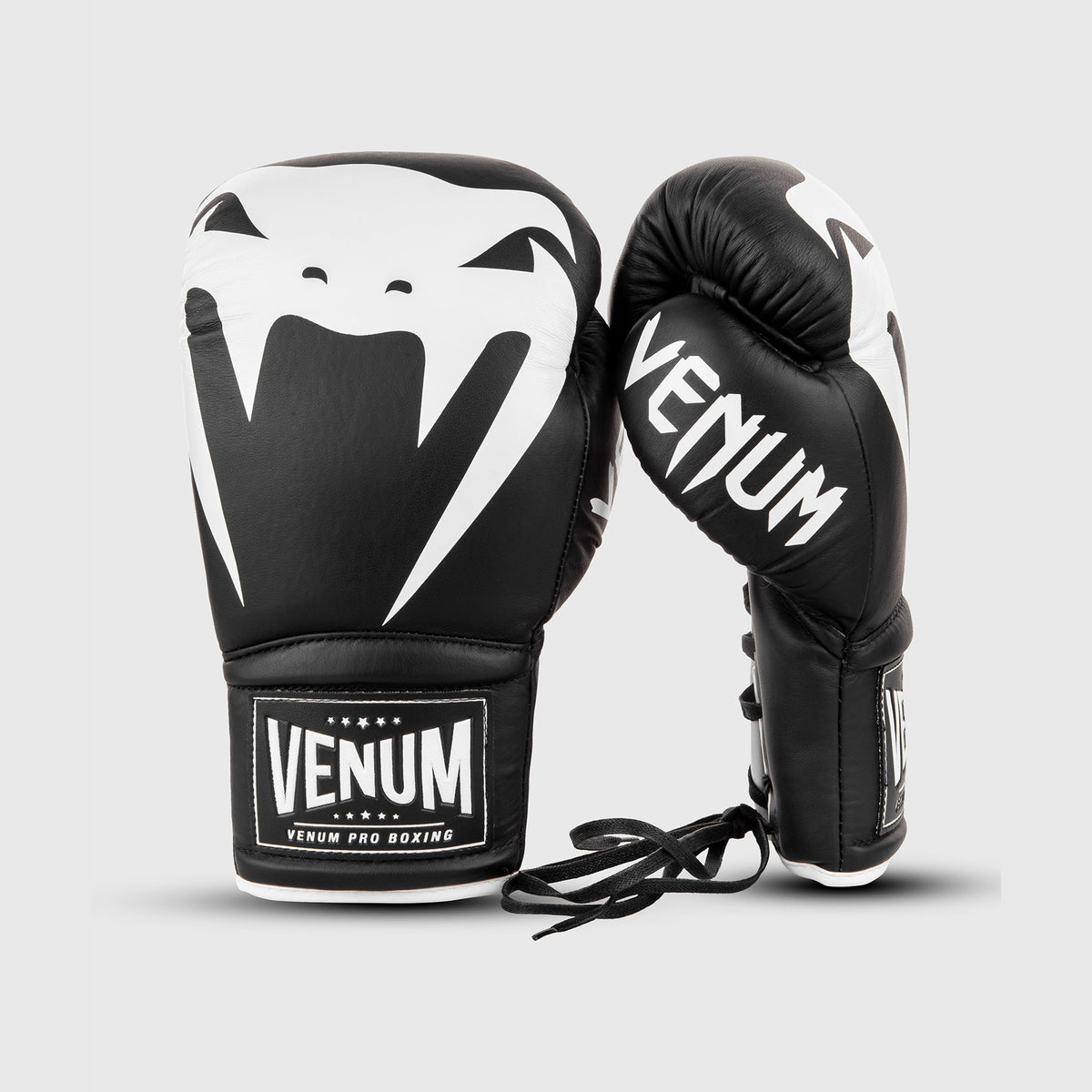 Gants de Boxe Pro Venum Giant 2.0 - Avec Lacets - product-type_Gants de boxe
