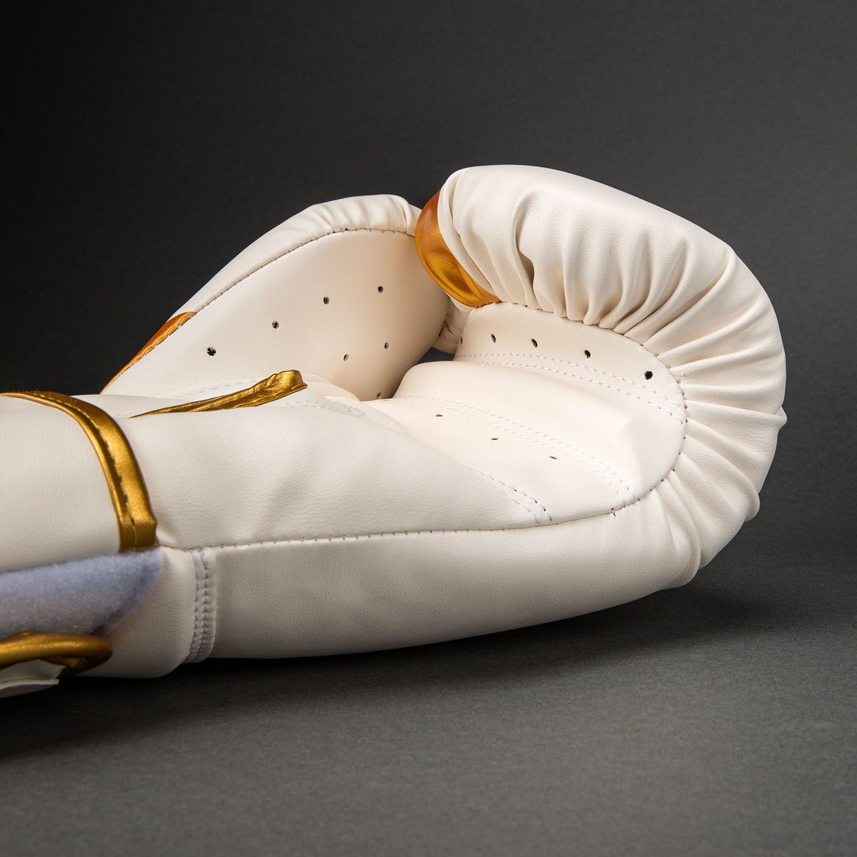 Gants de Boxe Venum Challenger 2.5 – Blanc/Or - product-type_Gants de boxe