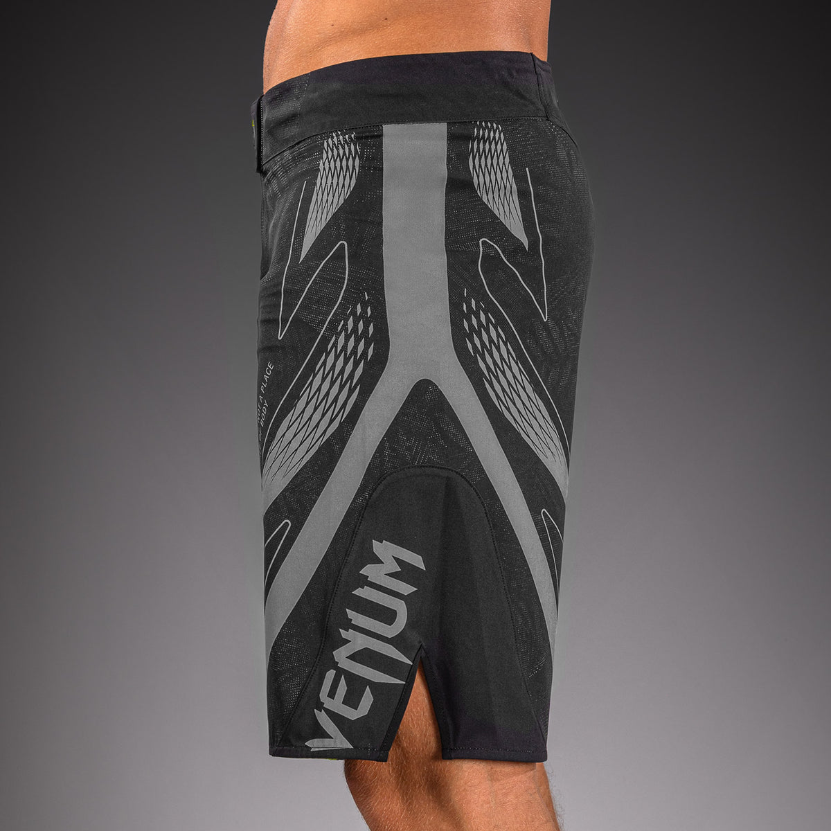 Short de MMA Venum Amazonia Reborn - Noir/Gris - product-type_Shorts de MMA