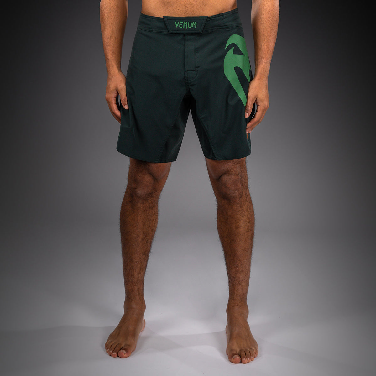 Short de combat Venum Light 5.0 - Vert forêt/Vert clair - product-type_Shorts de MMA
