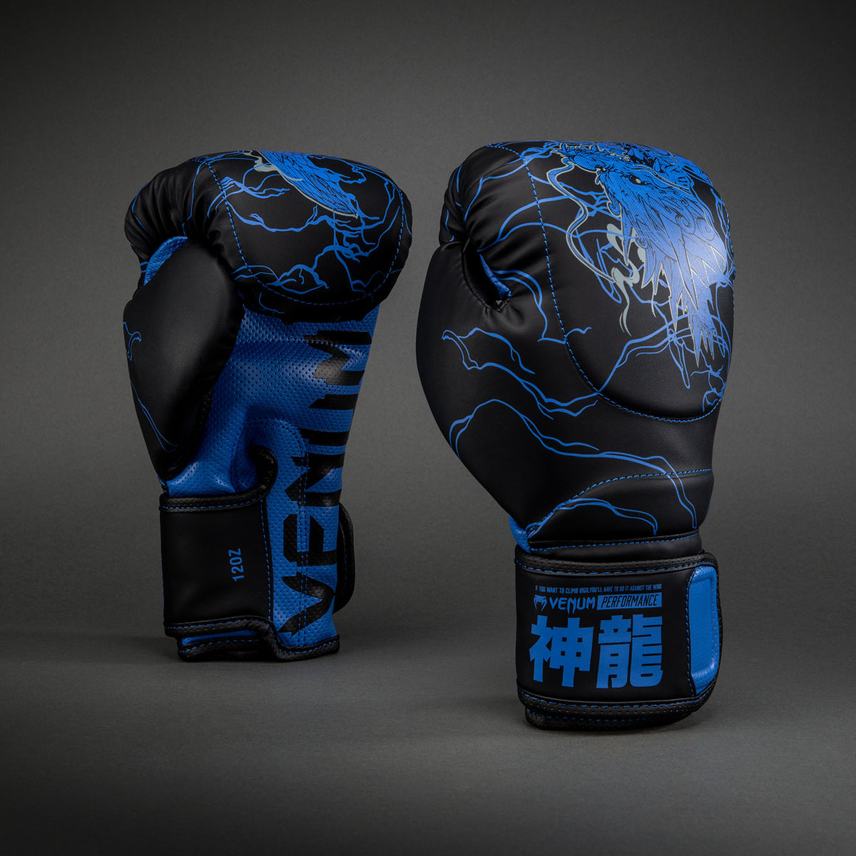Gants de boxe Venum Thunder Dragon – Noir/Bleu Royal - product-type_Gants de boxe