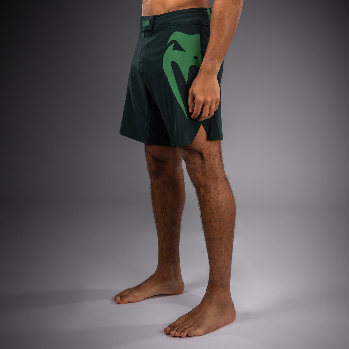 Short de combat Venum Light 5.0 - Vert forêt/Vert clair - product-type_Shorts de MMA