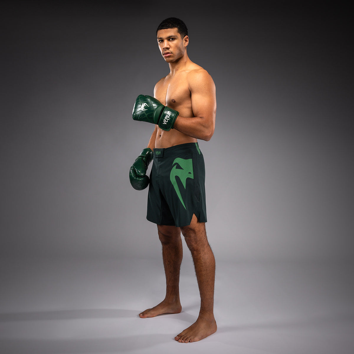 Short de combat Venum Light 5.0 - Vert forêt/Vert clair - product-type_Shorts de MMA