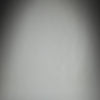 Short en Coton Venum Classic Fleece – Noir - product-type_Shorts en Coton