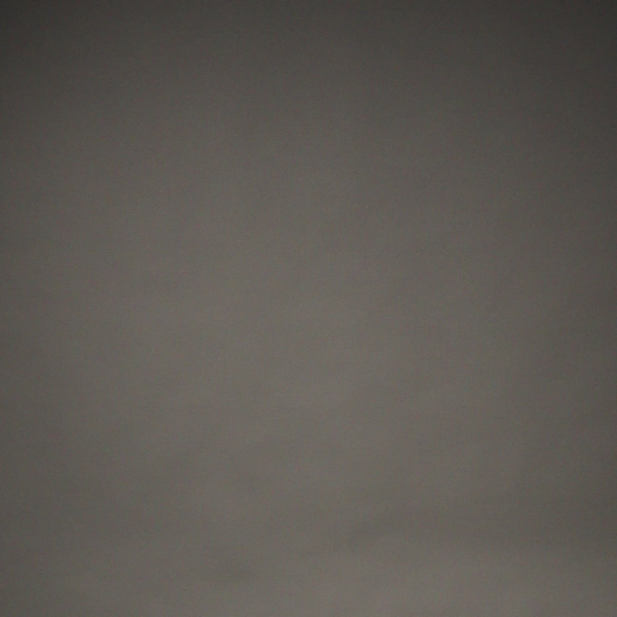 Veste de Survêtement Venum x Mike Tyson Tiger - Noir/Or - product-type_Vestes